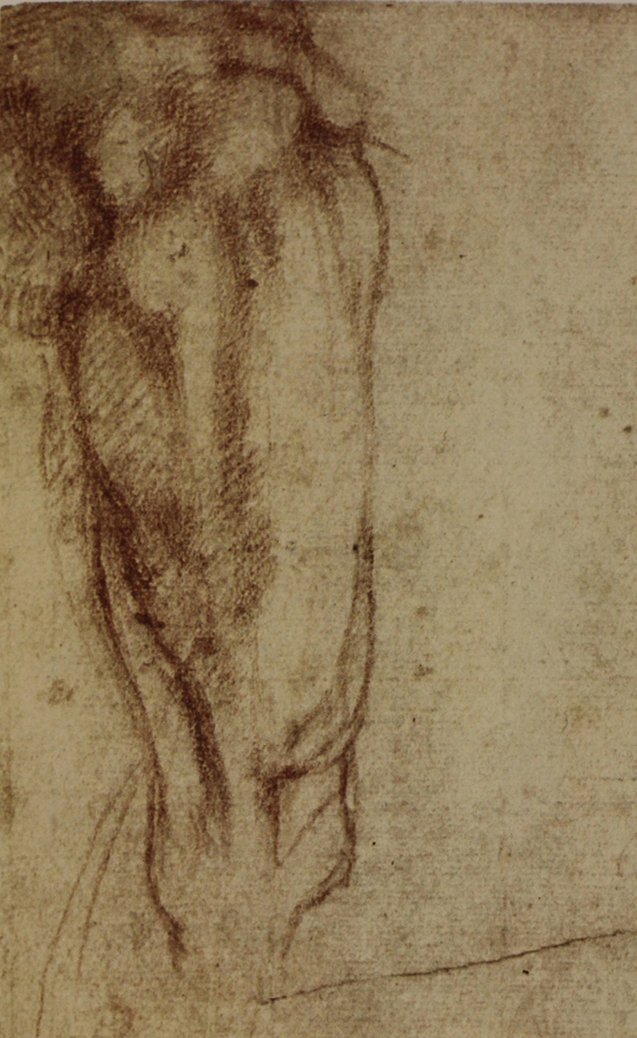 Подпись Микеланджело Буонарроти