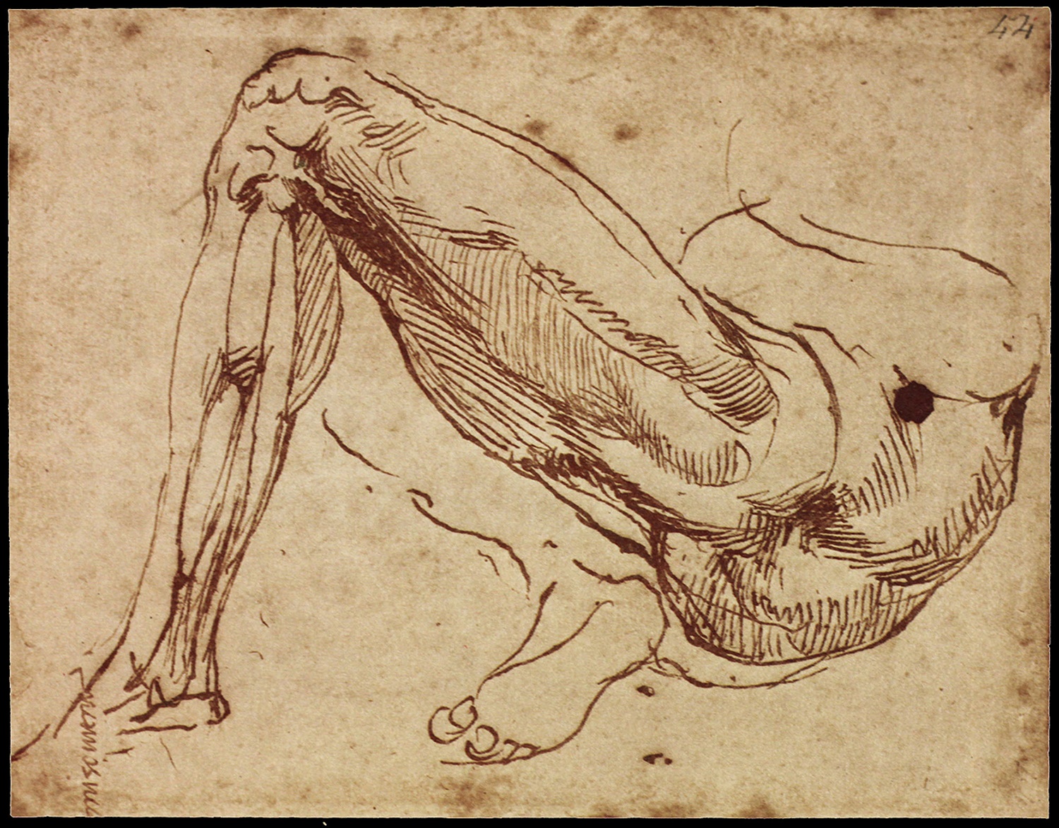 Тело возрождение. Анатомические зарисовки Леонардо Давинчи. Набросок человека Леонардо Давинчи. Леонардо да Винчи анатомия. Анатомические зарисовки Микеланджело Буонарроти.